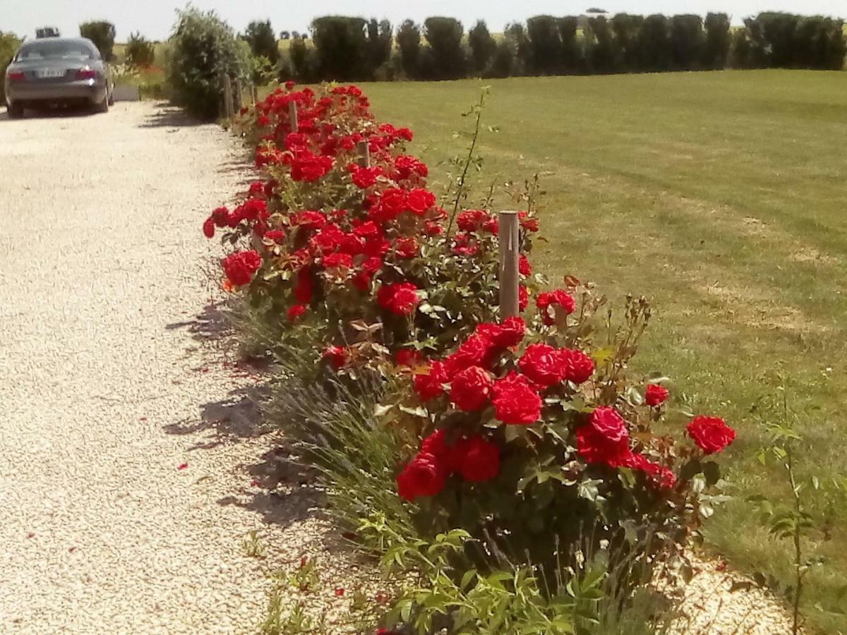 Maison Lavande Bed & Breakfast Saint-Jean-d'Angely Exterior photo
